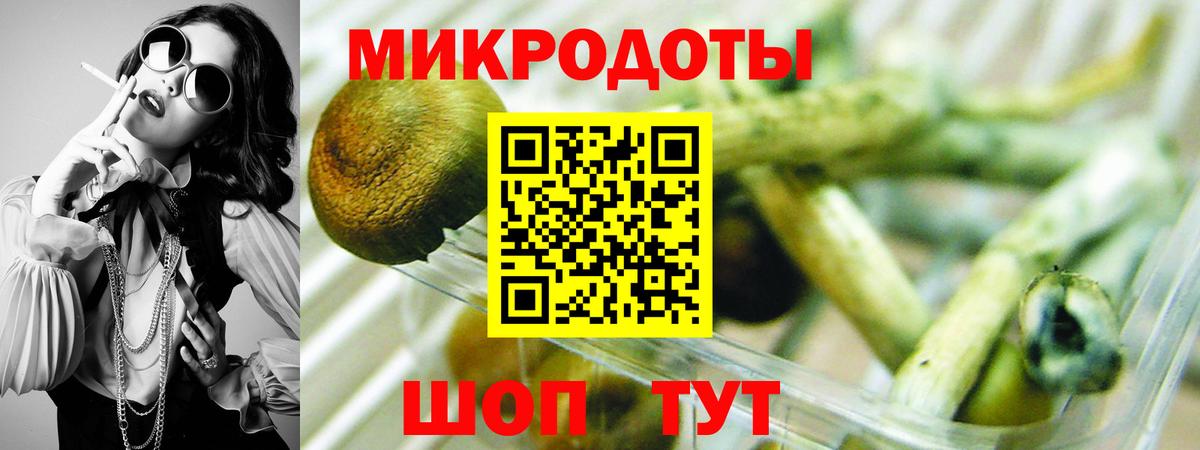 Кропоткин  Галлюциногенные грибы MAGIC MUSHROOMS  Вход с VPN 