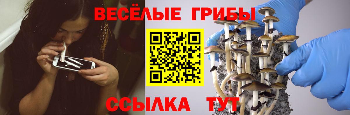Псилоцибиновые грибы ЛСД Кропоткин